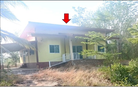 ขายทอดตลาด ที่ดินพร้อมสิ่งปลูกสร้าง ต.เมืองเพีย อ.บ้านไผ่ จ.ขอนแก่น