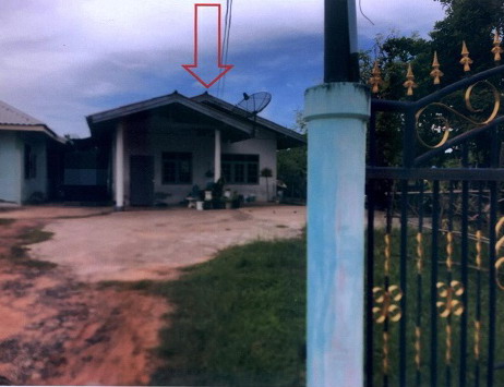 ขายทอดตลาด ที่ดินพร้อมสิ่งปลูกสร้าง ต.โสกนกเต็น อ.พล จ.ขอนแก่น
