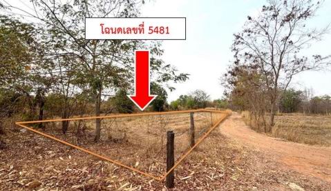ขายทอดตลาด ที่ดินว่างเปล่า ต.ห้วยแก อ.ชนบท จ.ขอนแก่น