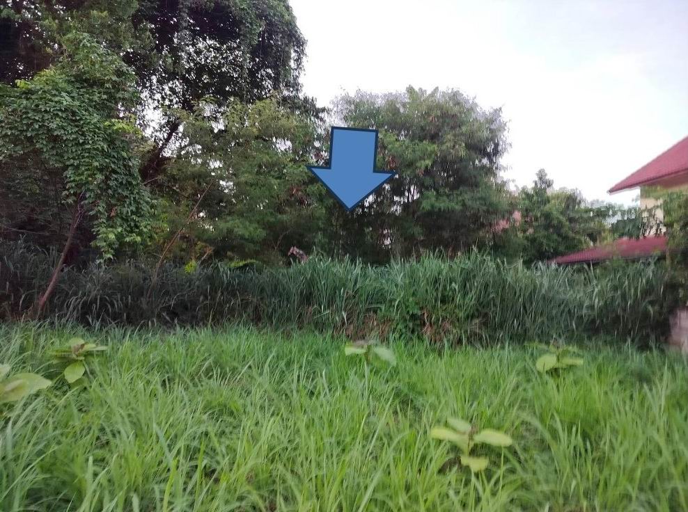 ขายทอดตลาด ที่ดินว่างเปล่า ต.ศิลา อ.เมืองขอนแก่น จ.ขอนแก่น