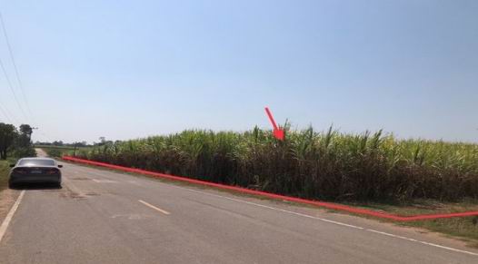 ขายทอดตลาด ที่ดินว่างเปล่า ต.ปอแดง อ.ชนบท จ.ขอนแก่น