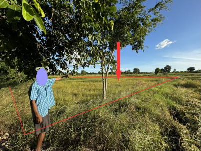 ขายทอดตลาด ที่ดินว่างเปล่า ต.หนองเม็ก อ.หนองสองห้อง จ.ขอนแก่น