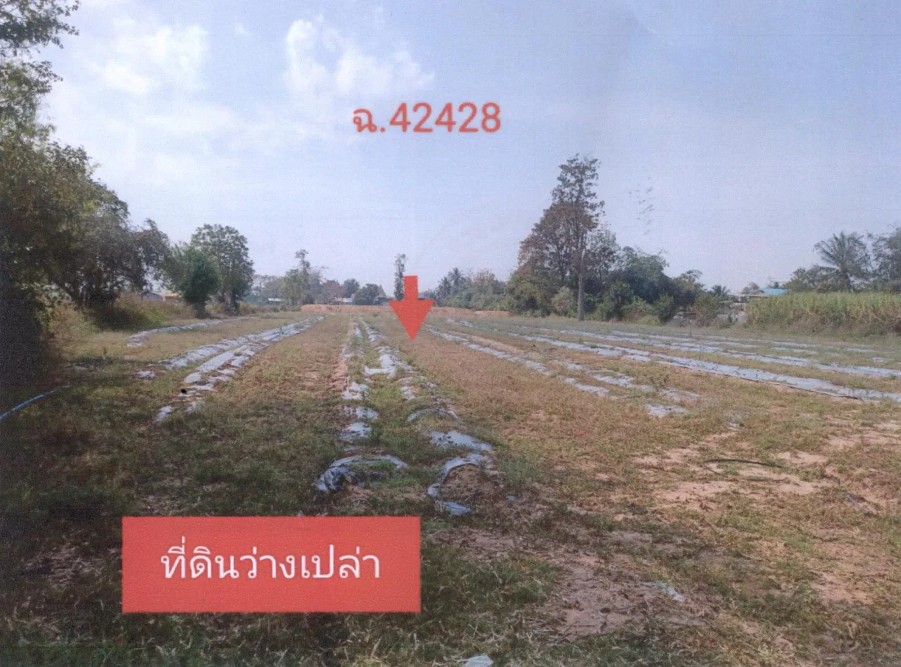 ขายทอดตลาด ที่ดินว่างเปล่า ต.หินตั้ง อ.บ้านไผ่ จ.ขอนแก่น