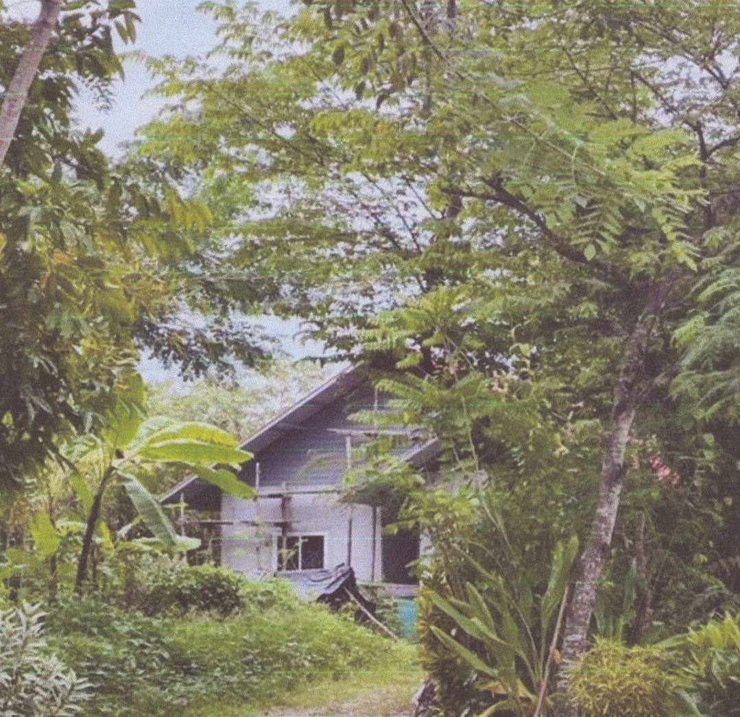 ขายทอดตลาด ที่ดินพร้อมสิ่งปลูกสร้าง ต.ผางาม อ.เวียงชัย จ.เชียงราย