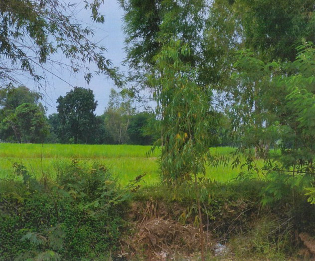 ขายทอดตลาด ที่ดินว่างเปล่า ต.บ้านไผ่ อ.บ้านไผ่ จ.ขอนแก่น
