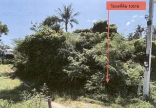 รูปทรัพย์ 1