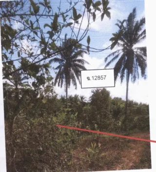 รูปทรัพย์ 4