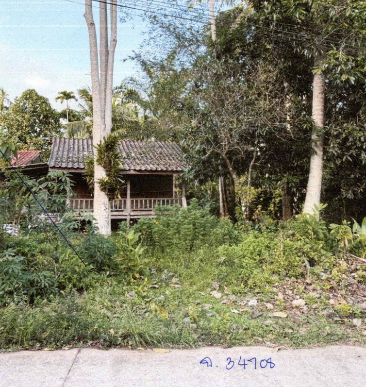 ขายทอดตลาด ที่ดินพร้อมสิ่งปลูกสร้าง ต.บ้านควน อ.หลังสวน จ.ชุมพร