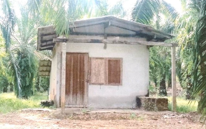 ขายทอดตลาด ที่ดินพร้อมสิ่งปลูกสร้าง ต.ทุ่งคาวัด อ.ละแม จ.ชุมพร