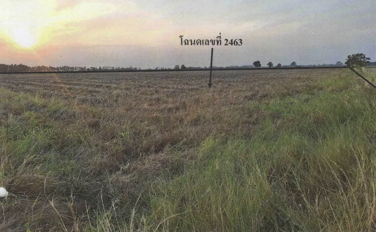 ขายทอดตลาด ที่ดินว่างเปล่า จ.นครสวรรค์