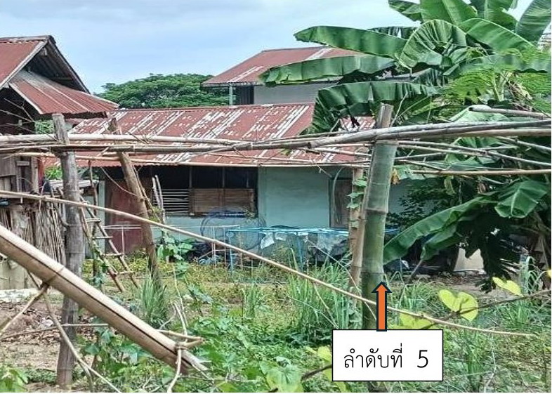 ขายทอดตลาด ที่ดินพร้อมสิ่งปลูกสร้าง ต.โนนท่อน อ.เมืองขอนแก่น จ.ขอนแก่น