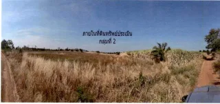 รูปทรัพย์ 1