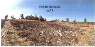 รูปทรัพย์ 3
