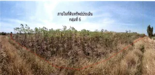 รูปทรัพย์ 4