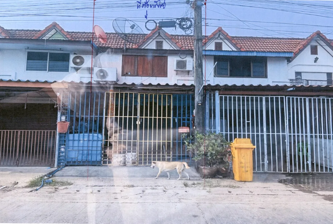 ขายทอดตลาด ที่ดินพร้อมสิ่งปลูกสร้าง ต.ซับสมอทอด อ.บึงสามพัน จ.เพชรบูรณ์