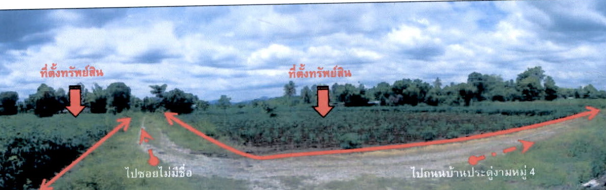 ขายทอดตลาด ที่ดินว่างเปล่า ต.ประดู่งาม อ.ศรีเทพ จ.เพชรบูรณ์