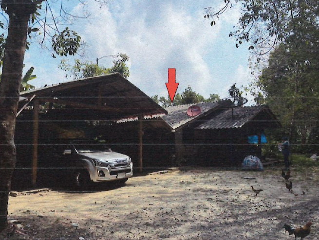 ขายทอดตลาด ที่ดินพร้อมสิ่งปลูกสร้าง ต.ทุ่งหลวง อ.ละแม จ.ชุมพร