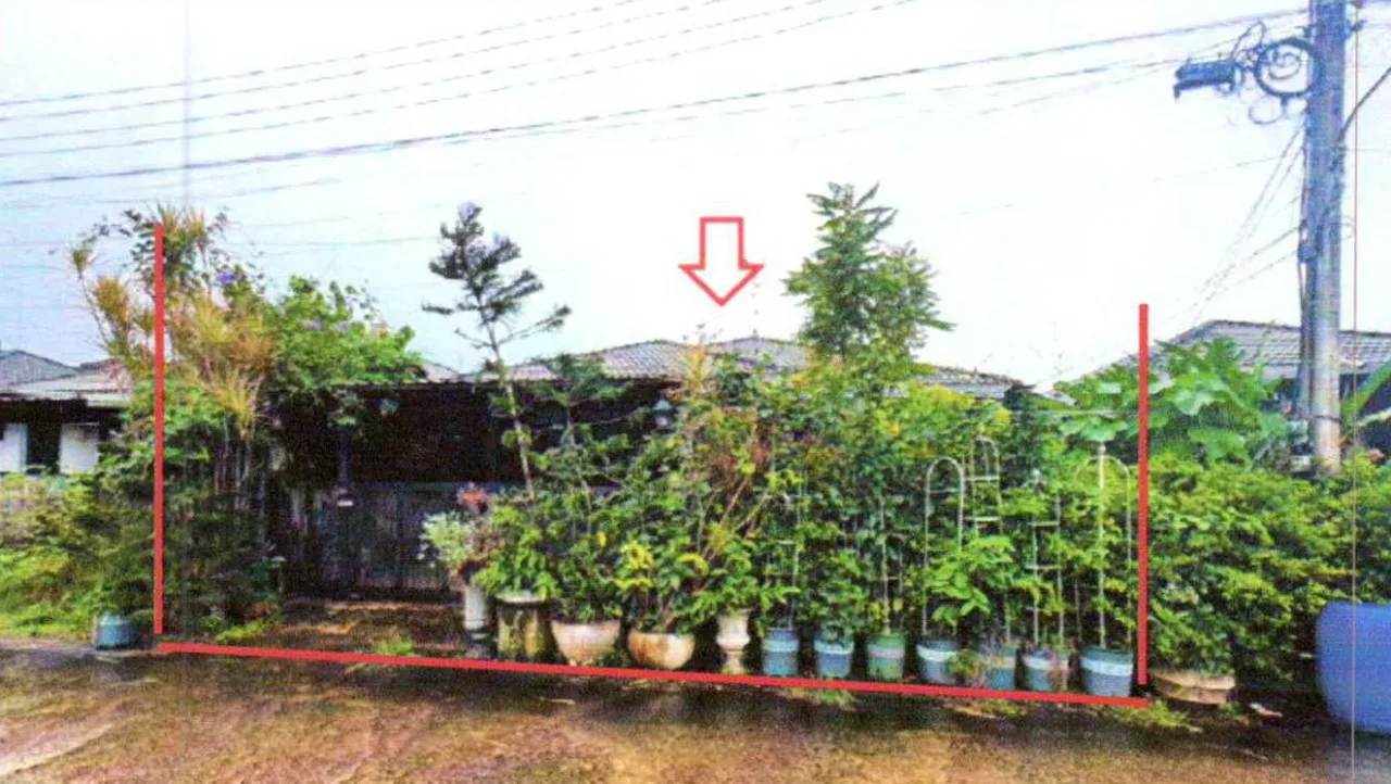 ขายทอดตลาด ที่ดินพร้อมสิ่งปลูกสร้าง ต.ทุ่งตะไคร อ.ทุ่งตะโก จ.ชุมพร