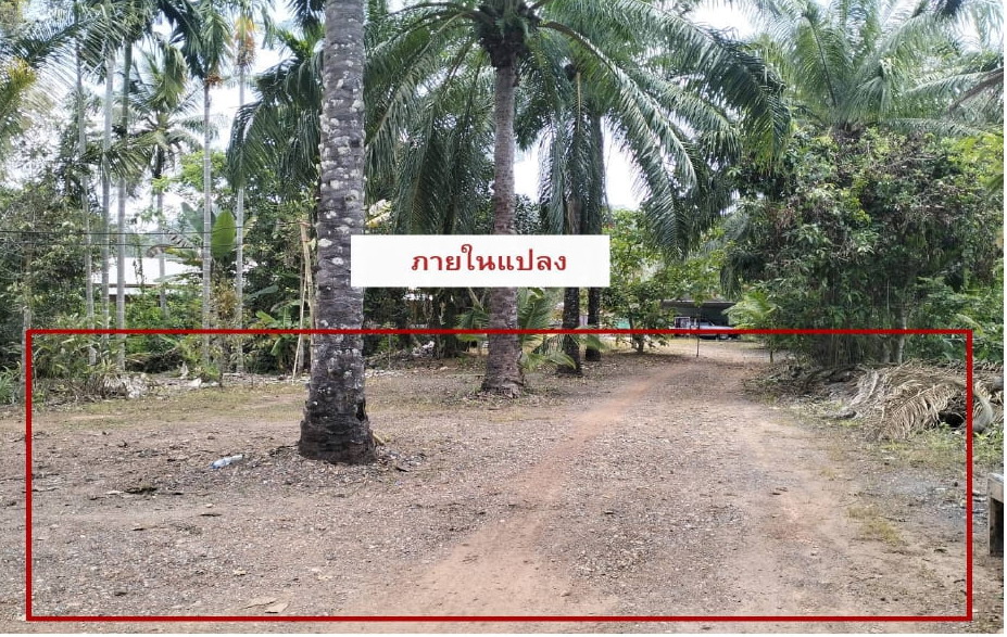 ขายทอดตลาด ที่ดินว่างเปล่า ต.นาขา อ.หลังสวน จ.ชุมพร