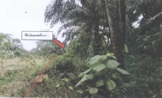 รูปทรัพย์ 1