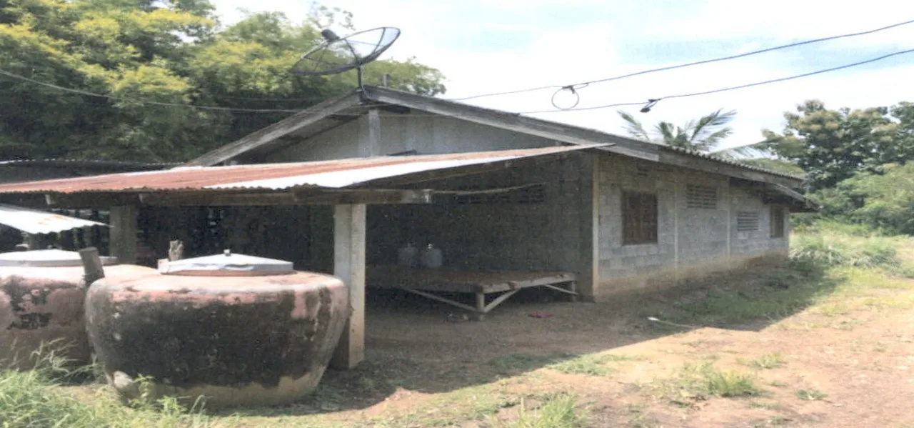 ขายทอดตลาด ที่ดินพร้อมสิ่งปลูกสร้าง ต.วังโบสถ์ อ.หนองไผ่ จ.เพชรบูรณ์