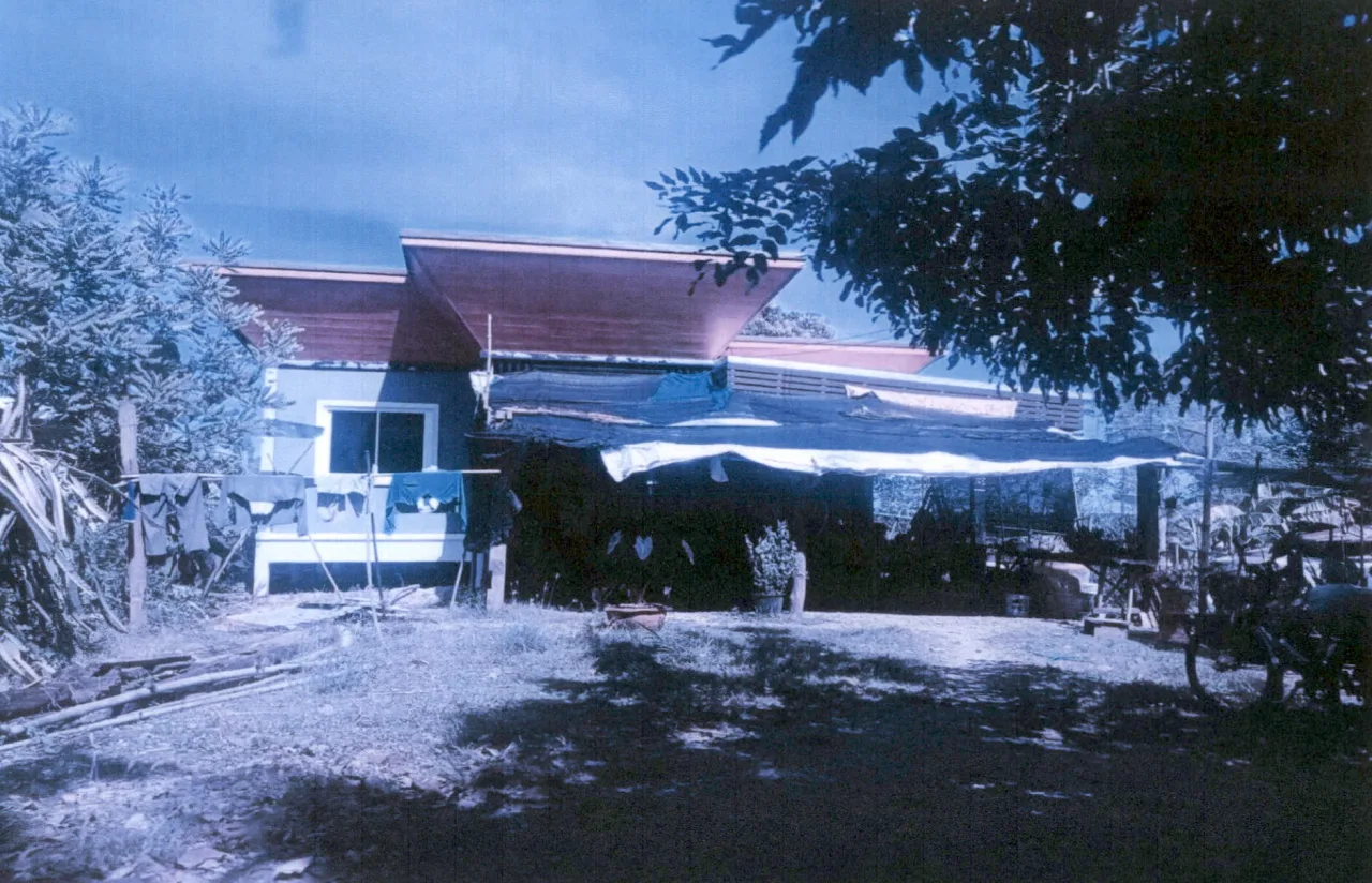 ขายทอดตลาด ที่ดินพร้อมสิ่งปลูกสร้าง ต.บึงกระจับ อ.วิเชียรบุรี จ.เพชรบูรณ์