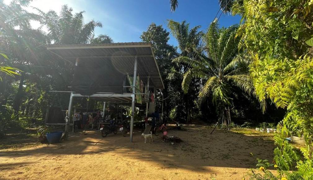 ขายทอดตลาด ที่ดินพร้อมสิ่งปลูกสร้าง ต.บ้านควน อ.หลังสวน จ.ชุมพร