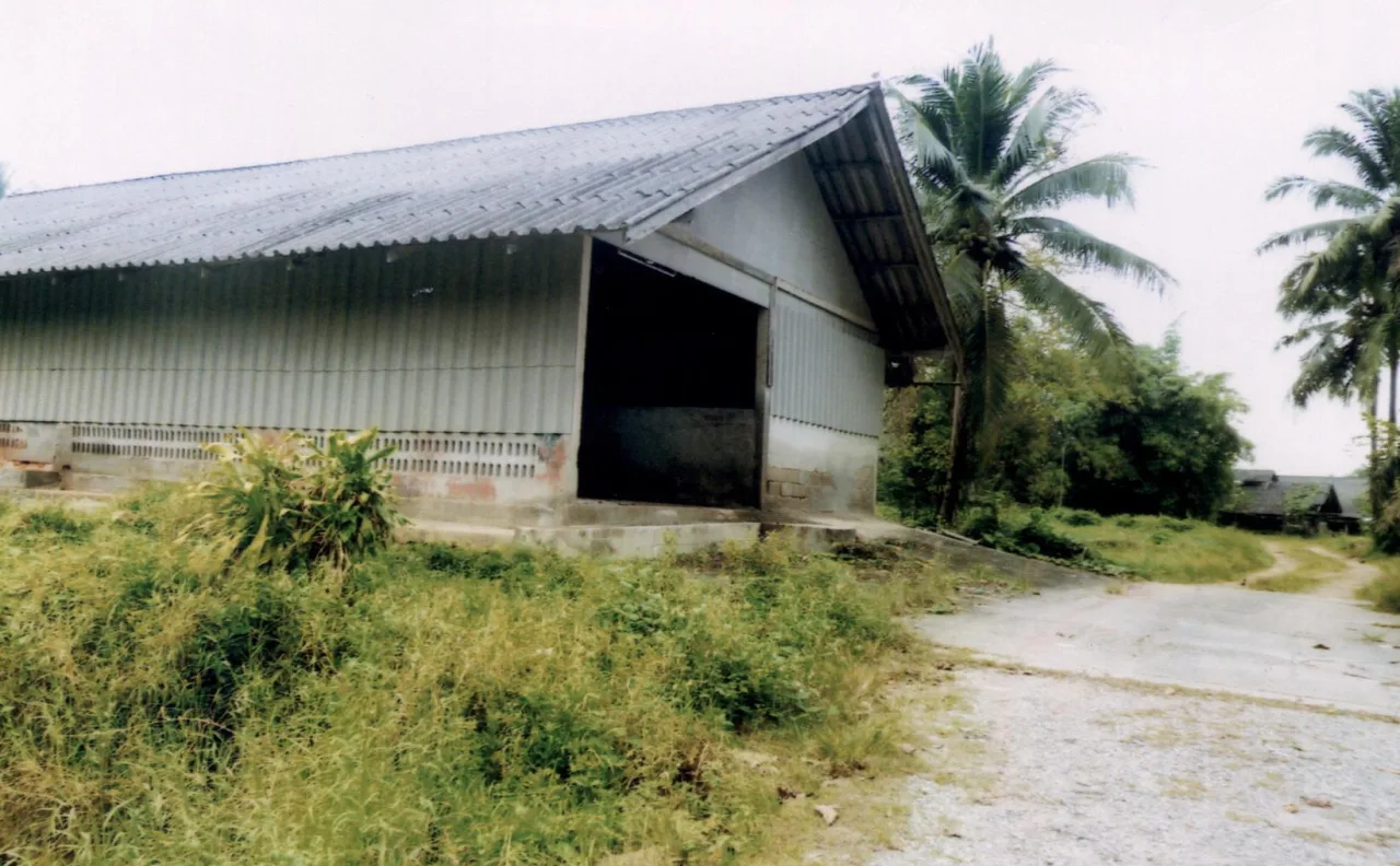 ขายทอดตลาด ที่ดินพร้อมสิ่งปลูกสร้าง ต.ขันเงิน อ.หลังสวน จ.ชุมพร