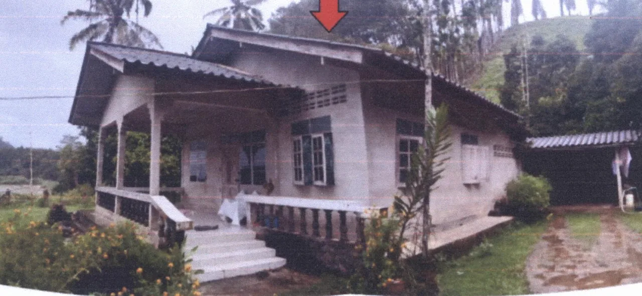 ขายทอดตลาด ที่ดินว่างเปล่า จ.ชุมพร