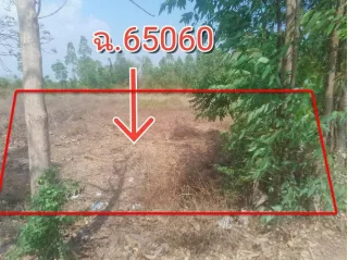 รูปทรัพย์ 3