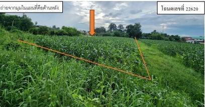 ขายทอดตลาด ที่ดินว่างเปล่า ต.แม่ระกา อ.วังทอง จ.พิษณุโลก