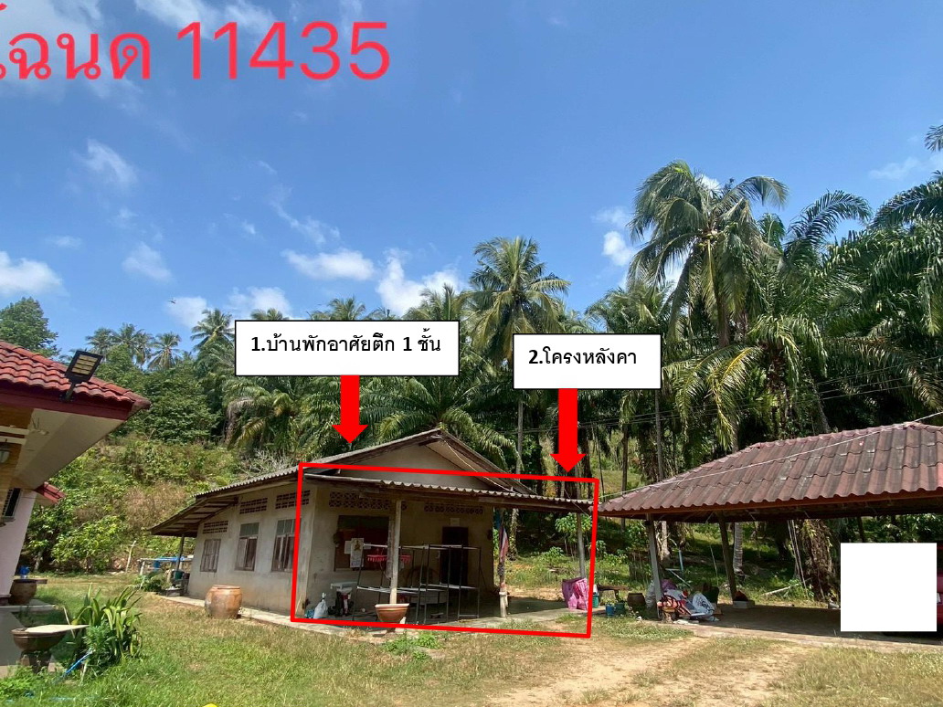 ขายทอดตลาด ที่ดินพร้อมสิ่งปลูกสร้าง ต.ปากตะโก อ.ทุ่งตะโก จ.ชุมพร
