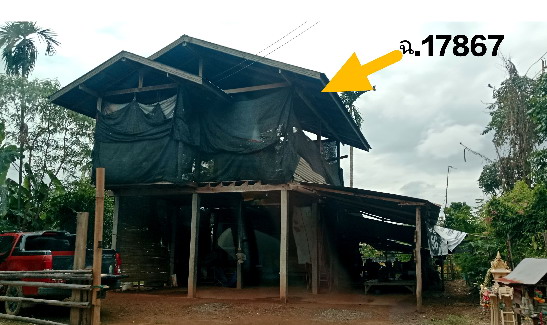 ขายทอดตลาด ที่ดินพร้อมสิ่งปลูกสร้าง ต.ท่าอิบุญ อ.หล่มสัก จ.เพชรบูรณ์