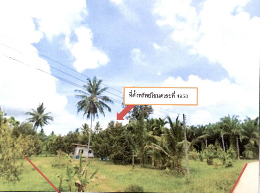 ขายทอดตลาด ที่ดินพร้อมสิ่งปลูกสร้าง ต.นาสัก อ.สวี จ.ชุมพร