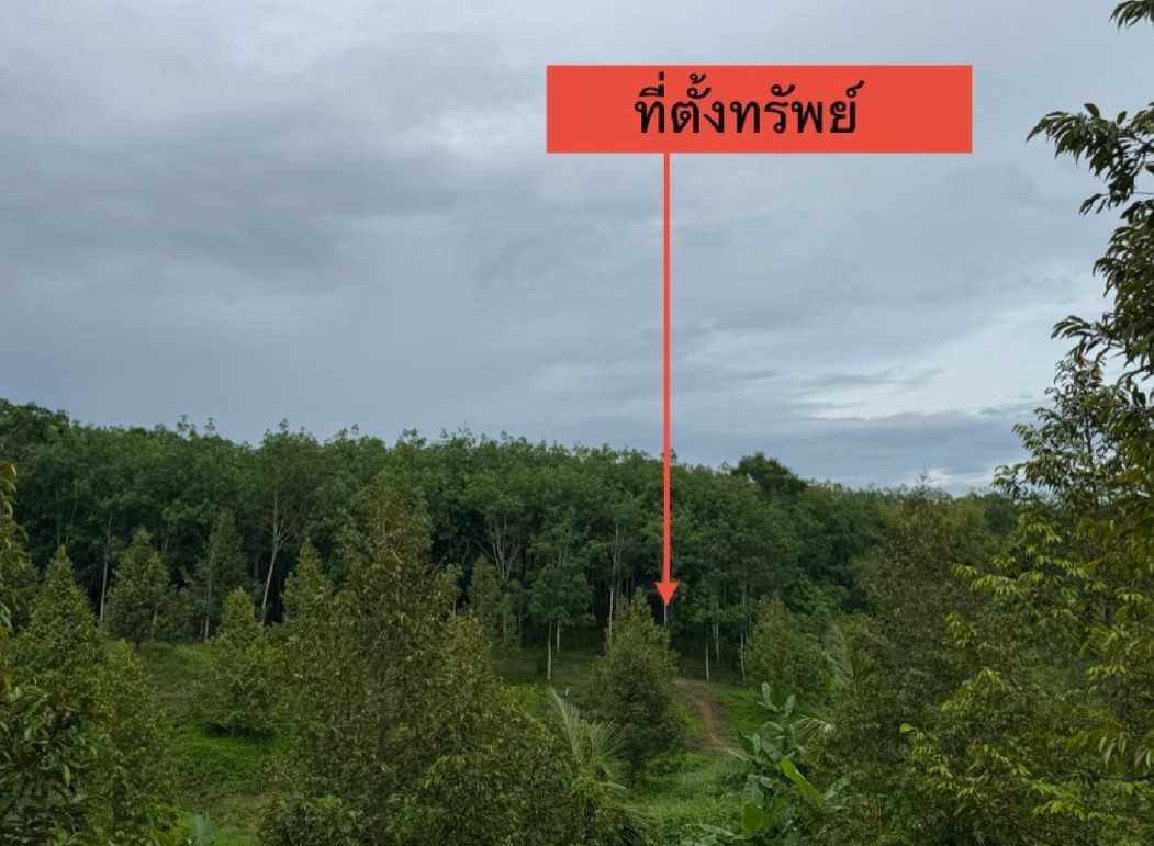 ขายทอดตลาด ที่ดินว่างเปล่า จ.ชุมพร