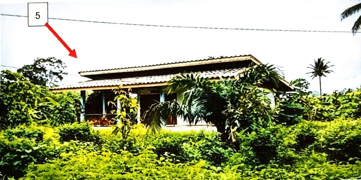 ขายทอดตลาด ที่ดินพร้อมสิ่งปลูกสร้าง ต.ครน อ.สวี จ.ชุมพร