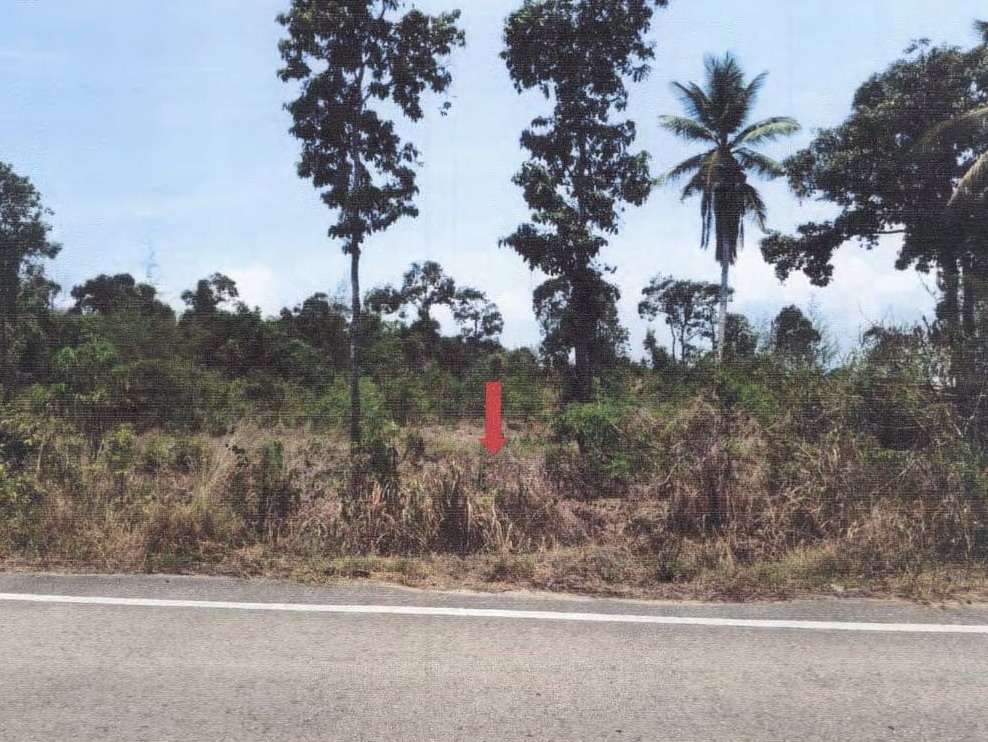 ขายทอดตลาด ที่ดินว่างเปล่า จ.ชุมพร