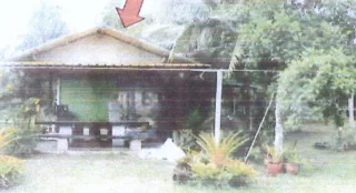 รูปทรัพย์ 2