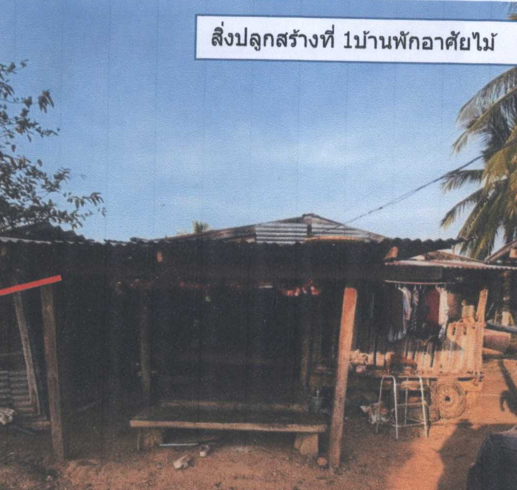 ขายทอดตลาด ที่ดินพร้อมสิ่งปลูกสร้าง ต.บ้านกลาง อ.หล่มสัก จ.เพชรบูรณ์