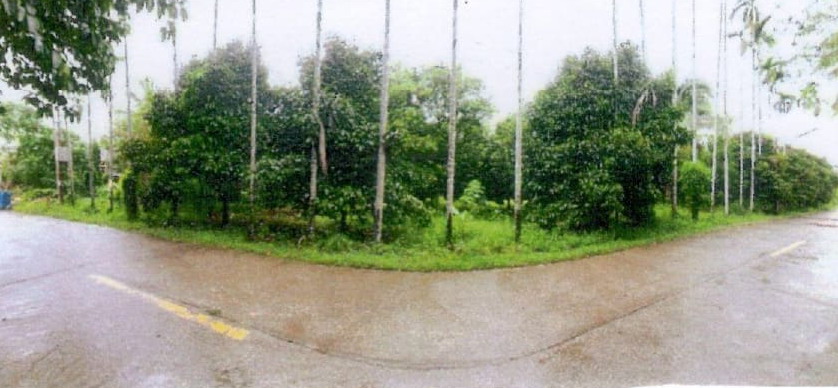 ขายทอดตลาด ที่ดินว่างเปล่า ต.ขันเงิน อ.หลังสวน จ.ชุมพร
