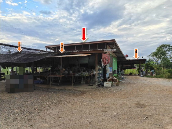 ขายทอดตลาด ที่ดินพร้อมสิ่งปลูกสร้าง ต.บ้านไร่ อ.หล่มสัก จ.เพชรบูรณ์