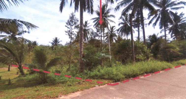ขายทอดตลาด ที่ดินว่างเปล่า จ.ชุมพร