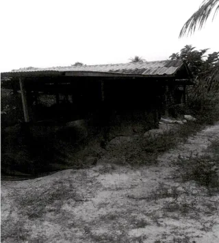 รูปทรัพย์ 2