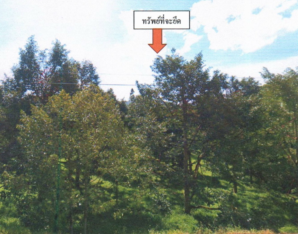 ขายทอดตลาด ที่ดินว่างเปล่า ต.พระรักษ์ อ.พะโต๊ะ จ.ชุมพร