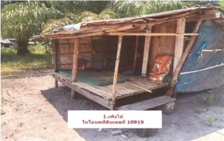 รูปทรัพย์ 1