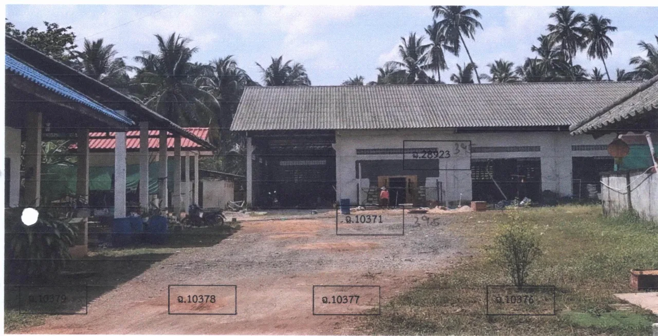 ขายทอดตลาด ที่ดินพร้อมสิ่งปลูกสร้าง ต.ปากน้ำ อ.หลังสวน จ.ชุมพร