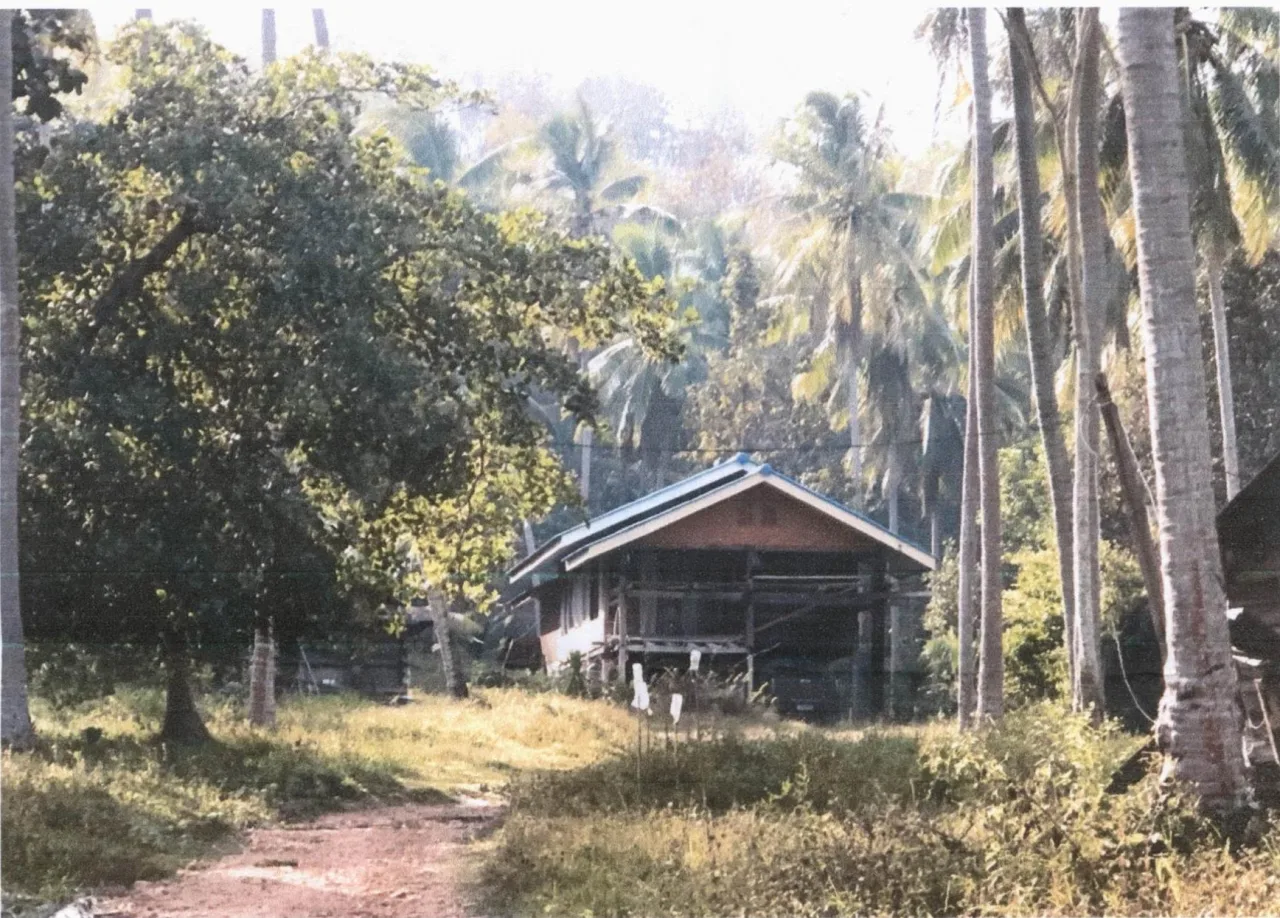 ขายทอดตลาด ที่ดินพร้อมสิ่งปลูกสร้าง ต.บางมะพร้าว อ.หลังสวน จ.ชุมพร