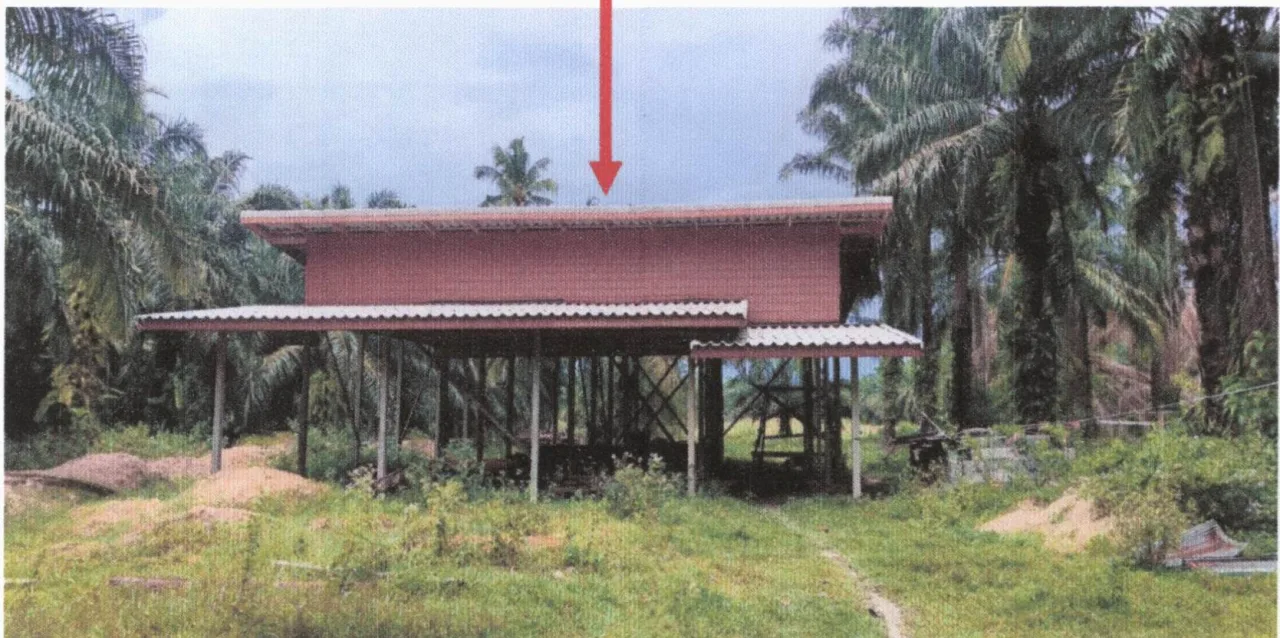 ขายทอดตลาด ที่ดินพร้อมสิ่งปลูกสร้าง ต.ละแม อ.ละแม จ.ชุมพร