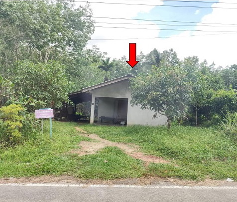 ขายทอดตลาด ที่ดินพร้อมสิ่งปลูกสร้าง ต.ทุ่งค่าย อ.ย่านตาขาว จ.ตรัง