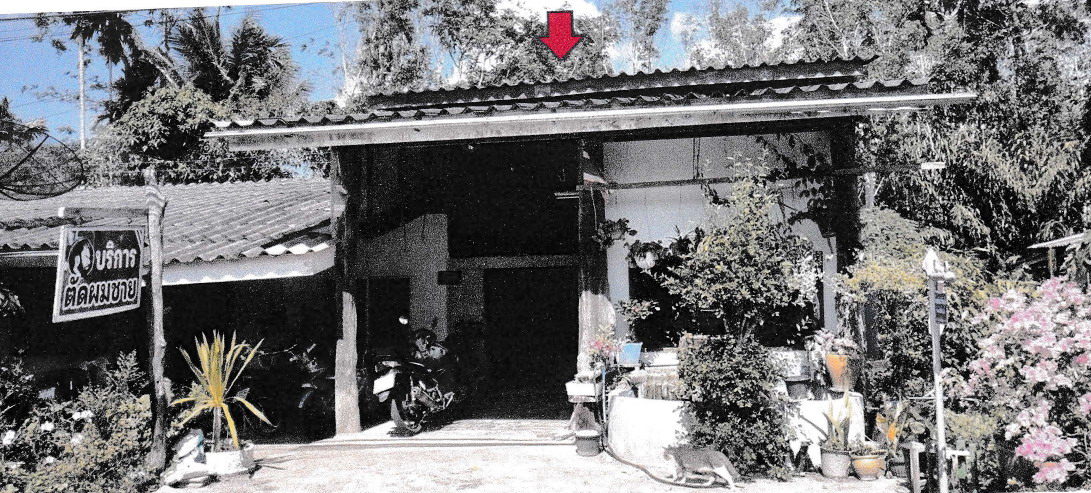 ขายทอดตลาด ที่ดินพร้อมสิ่งปลูกสร้าง ต.ลิพัง อ.ปะเหลียน จ.ตรัง